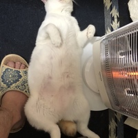 そら