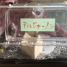 アルジャーノン38