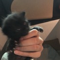 決めたいのですが、よく分からないので一旦止めます。