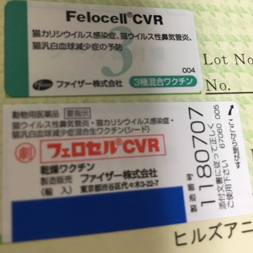 2回目  接種月日 2012年9月14日