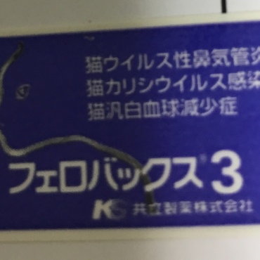 3回目  摂取月日  2012年10月12日