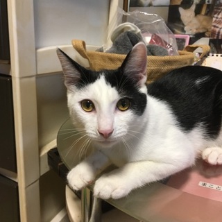 ぼく待ち続けるよ！！