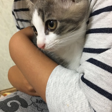 の写真