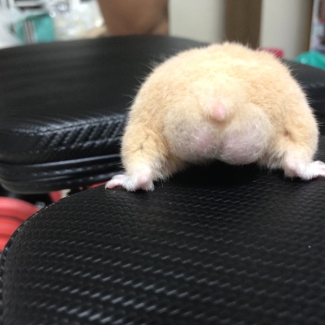 きよもりのカバー写真