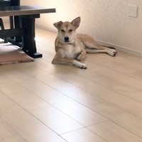 もなか