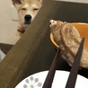 の写真