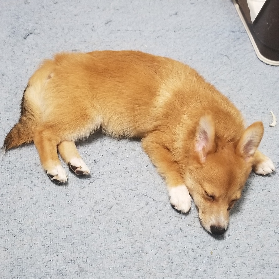 のあのカバー写真