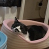 ひたちです