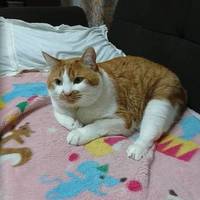 りょう