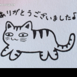 生後約3ヶ月  白茶ブチちゃん