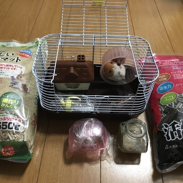 お迎え準備品