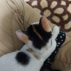 これから