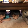 の写真