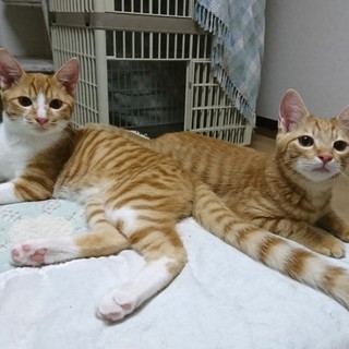 優しく愛らしい仲良し家族☆