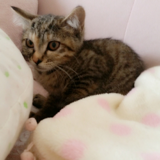 とってもキュートな癒し系の女の子です♡