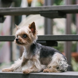 家族に決まりました☆