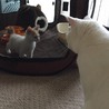 おにいちゃん、よろしくね