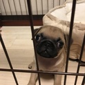 生後2ヶ月半