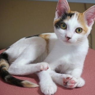 男子に負けない ぬぬちゃんです。