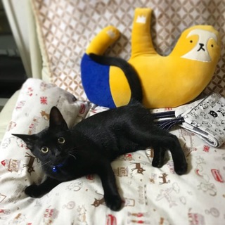 甘えん坊の「ウェル」くん