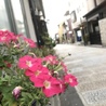 いちのせ。