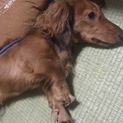 お願いします