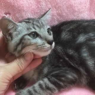 里親決定☆ぽぽくん