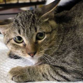 #れいとくん タレ目のイケメン