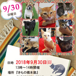 ★倉敷玉島・犬猫譲渡会開催★