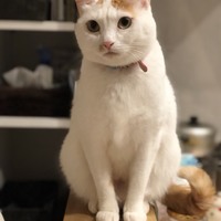 キキ