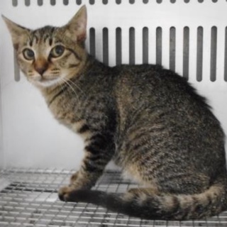 愛護団体様が引出して下さいました。