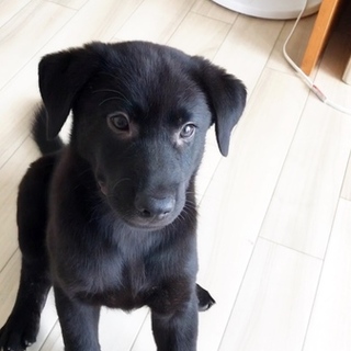 ラブMIX  ビッグ