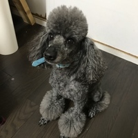 ミルト