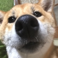 まりん