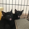 みなとべ