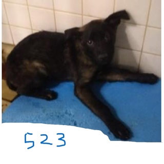 引き出されました。