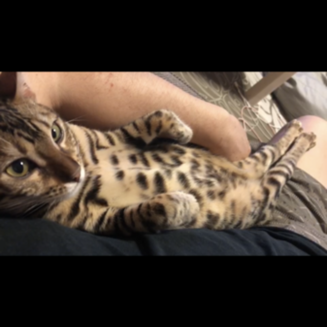 みいゆんのカバー写真