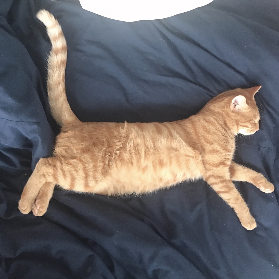 うりのカバー写真