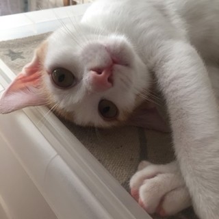 生後5か月の男の子です！