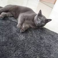 もん吉