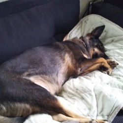 「うめちゃん(´・ω・`)」サムネイル2