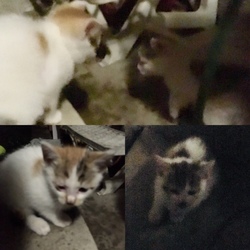 「育児放棄」サムネイル2