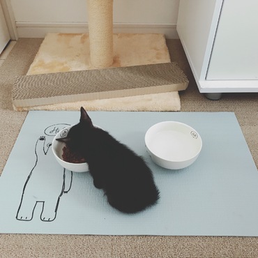 ご飯タイム