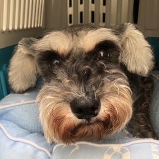 怖がりだけど人が大好きな女の子♪