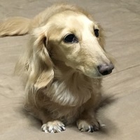 なな