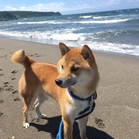 海（カイ）