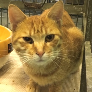 人馴れ抜群おっとり甘えん坊な男の子