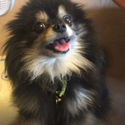 「まさかこんなに元気になるとは・・」サムネイル2