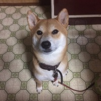 今野カイ