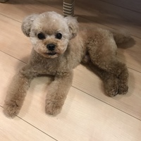 もくめ